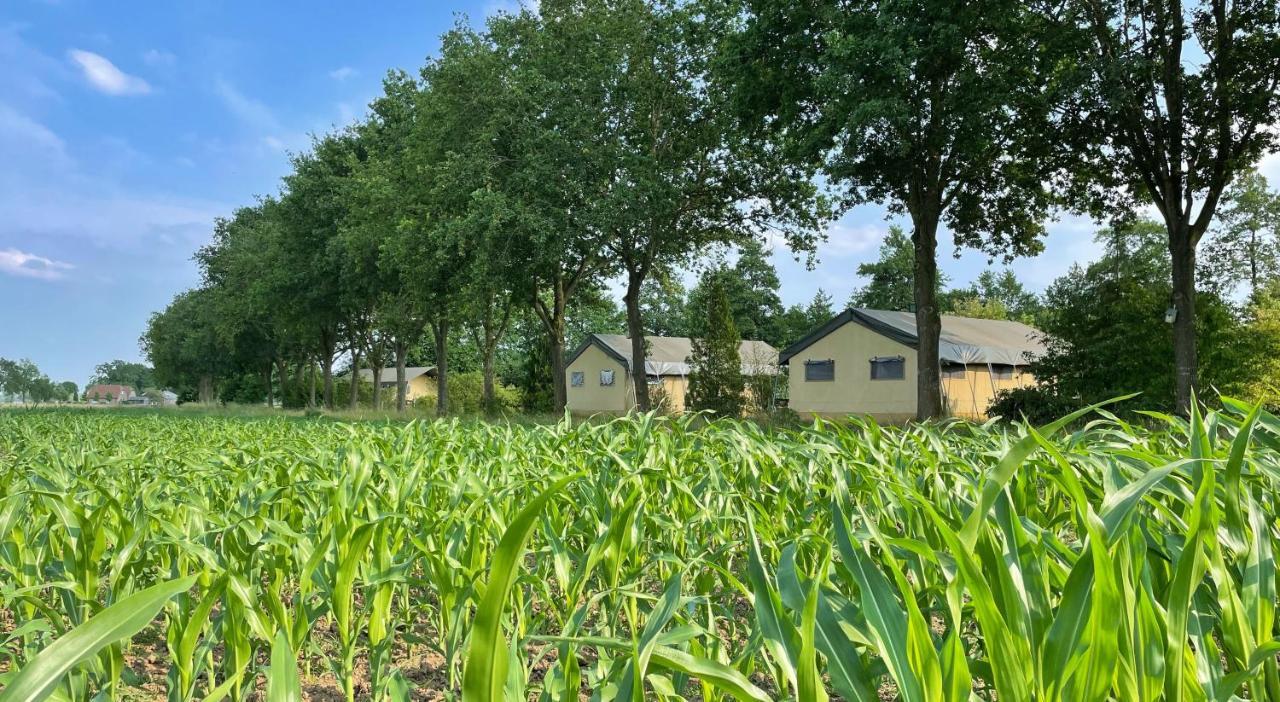 Uylkenshof Safaritenten En Natuurhuisjes Epe Luaran gambar